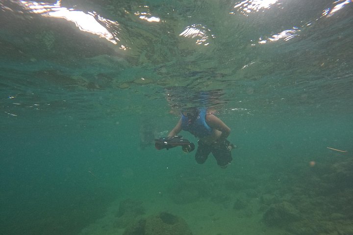 Aventura de jet snorkeling em San Juan, Porto Rico, com tartarugas marinhas e peixes tropicais, foto 14 | wizardtrip