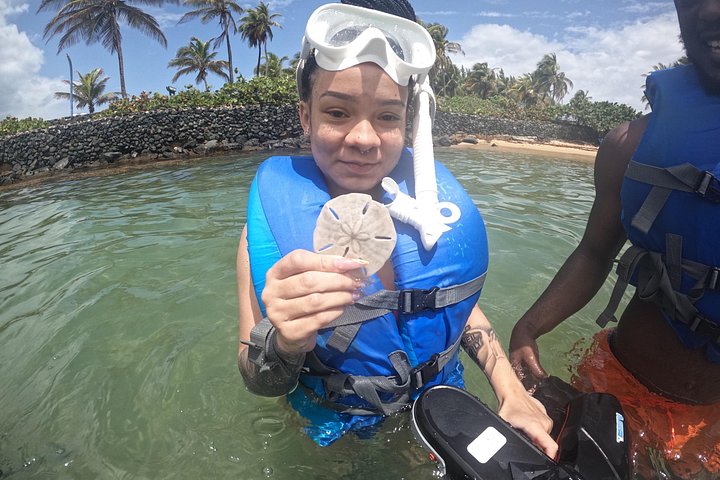 Aventura de jet snorkeling em San Juan, Porto Rico, com tartarugas marinhas e peixes tropicais, foto 16 | wizardtrip