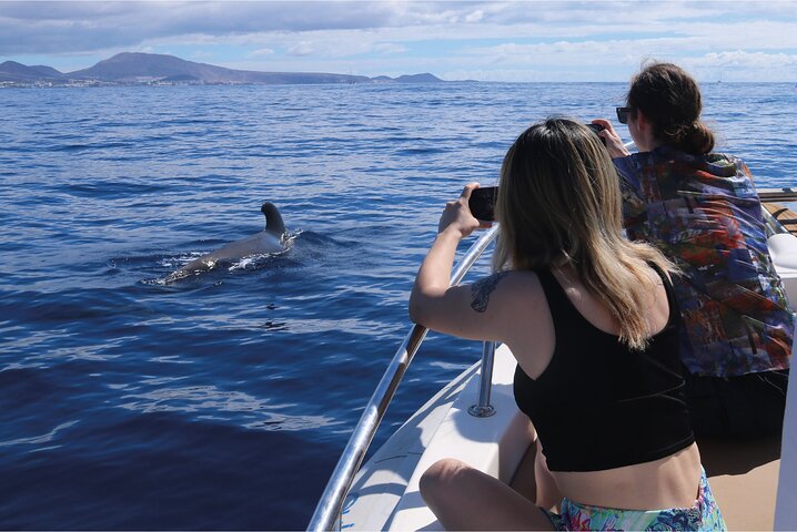 Tour en barco ecológico para avistamiento de cetáceos en Tenerife Sur con biólogos marinos, foto 7 | wizardtrip