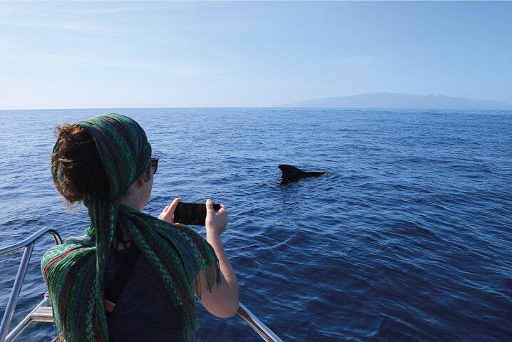 Tour en barco ecológico para avistamiento de cetáceos en Tenerife Sur con biólogos marinos, foto 10 | wizardtrip
