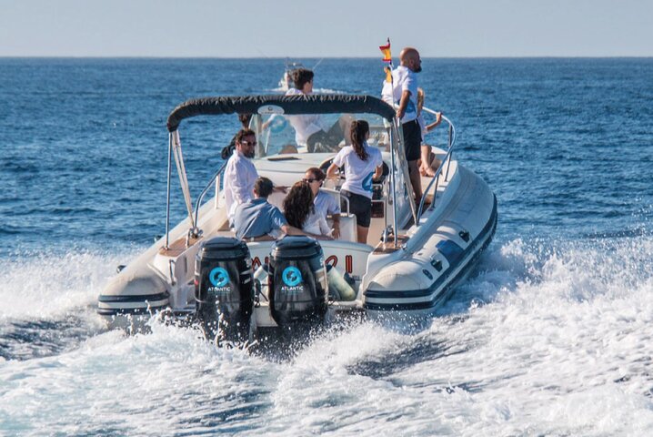 Tour en barco ecológico para avistamiento de cetáceos en Tenerife Sur con biólogos marinos, foto 12 | wizardtrip