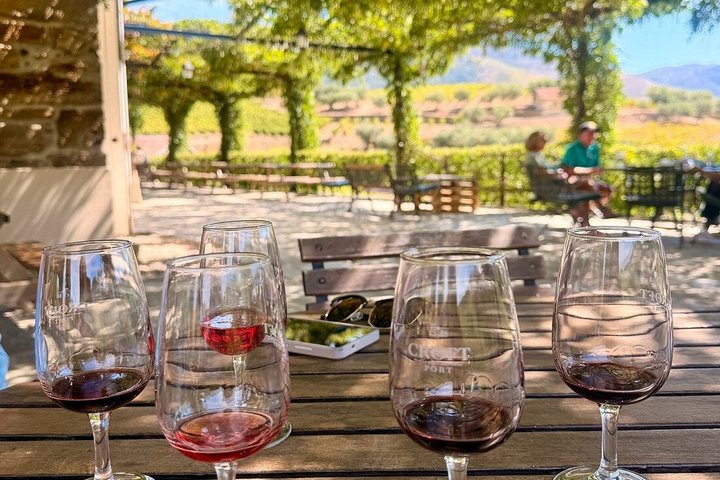 Douro Vallei Halve Dag Wijnmakerij & Lunch Tour Vanuit Porto | wizardtrip