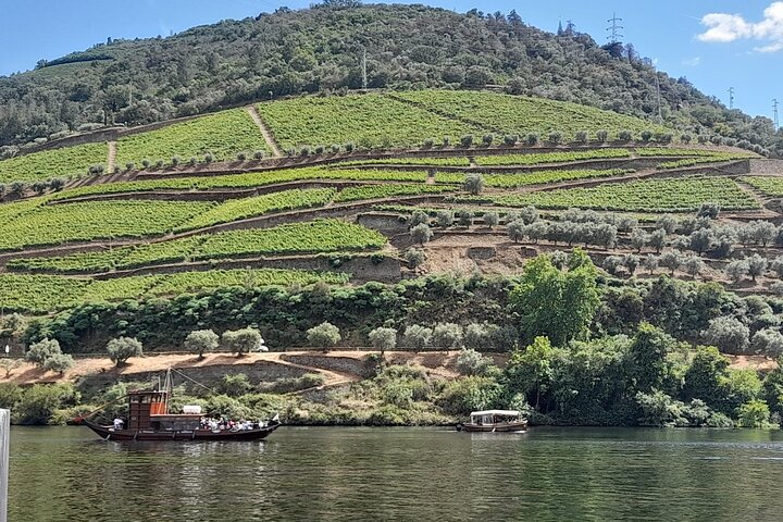 Naturskön tur i Dourodalen från Porto med vinprovning och lunch, foto 16 | wizardtrip