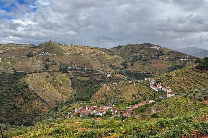 Naturskön tur i Dourodalen från Porto med vinprovning och lunch, foto 22 | wizardtrip
