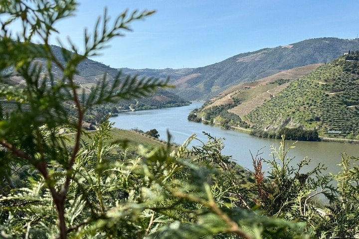 Naturskön tur i Dourodalen från Porto med vinprovning och lunch, foto 24 | wizardtrip