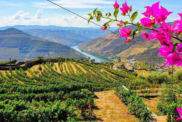 Douro Vallei Small-Group Tour: Twee Wijnhuizen, Lunch & Boottocht | wizardtrip