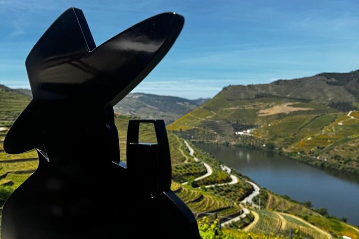 Scenic Douro Valley tour from Porto featuring vineyards, wine tasting, and river cruise, photo 18 | wizardtrip