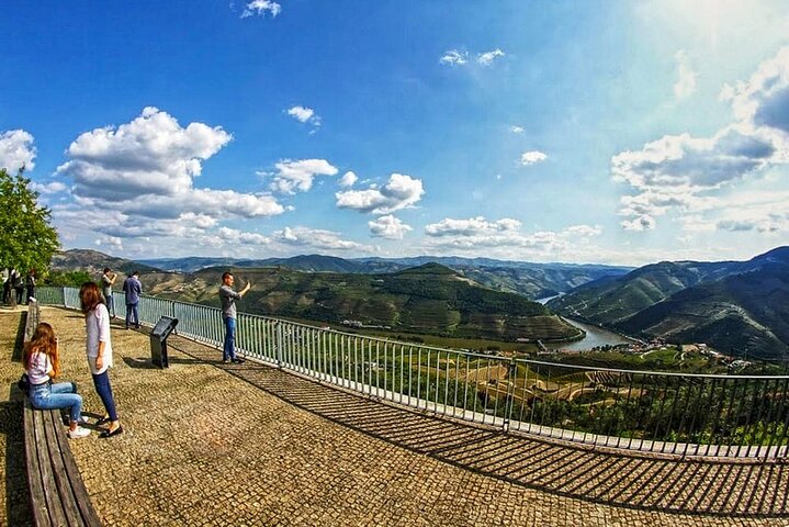 Scenic Douro Valley tour from Porto featuring vineyards, wine tasting, and river cruise, photo 21 | wizardtrip