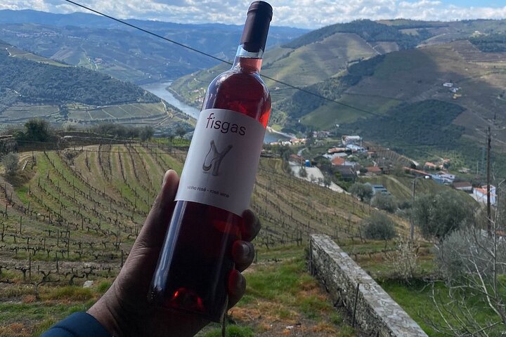 Scenic Douro Valley tour from Porto featuring vineyards, wine tasting, and river cruise, photo 35 | wizardtrip