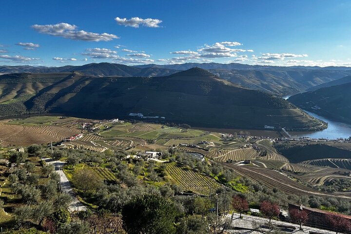Scenic Douro Valley tour from Porto featuring vineyards, wine tasting, and river cruise, photo 42 | wizardtrip