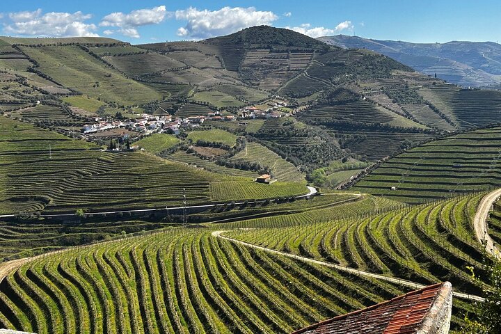 Scenic Douro Valley tour from Porto featuring vineyards, wine tasting, and river cruise, photo 43 | wizardtrip