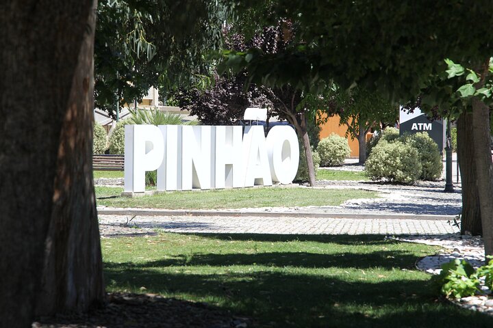 Scenic Douro Valley tour from Porto featuring vineyards, wine tasting, and river cruise, photo 45 | wizardtrip