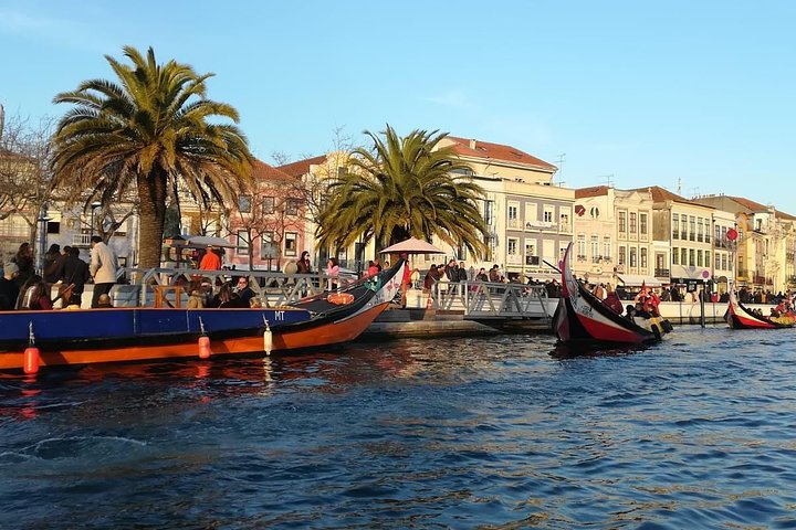 Naturskjønn enveis transport fra Porto til Lisboa med stopp i sjarmerende portugisiske byer som Aveiro og Óbidos, foto 17 | wizardtrip