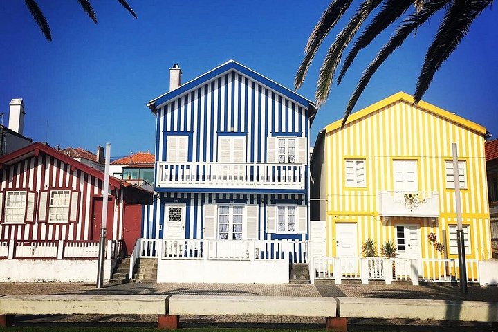 Naturskjønn enveis transport fra Porto til Lisboa med stopp i sjarmerende portugisiske byer som Aveiro og Óbidos, foto 22 | wizardtrip