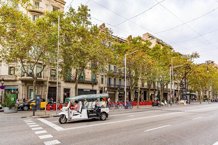 Tour privato in eco-tuk-tuk dei monumenti di Barcellona con guida locale, foto 8 | wizardtrip