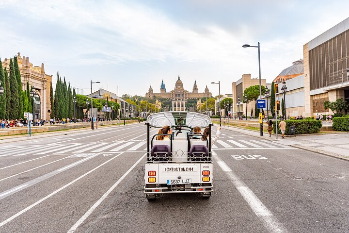 Tour privato in eco-tuk-tuk dei monumenti di Barcellona con guida locale, foto 11 | wizardtrip
