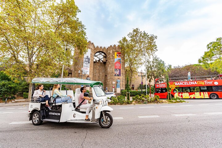 Tour privato in eco-tuk-tuk dei monumenti di Barcellona con guida locale, foto 12 | wizardtrip