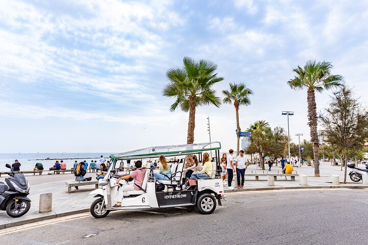 Tour privato in eco-tuk-tuk dei monumenti di Barcellona con guida locale, foto 13 | wizardtrip