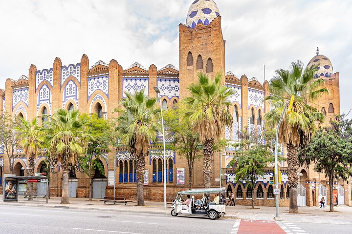 Tour privato in eco-tuk-tuk dei monumenti di Barcellona con guida locale, foto 17 | wizardtrip