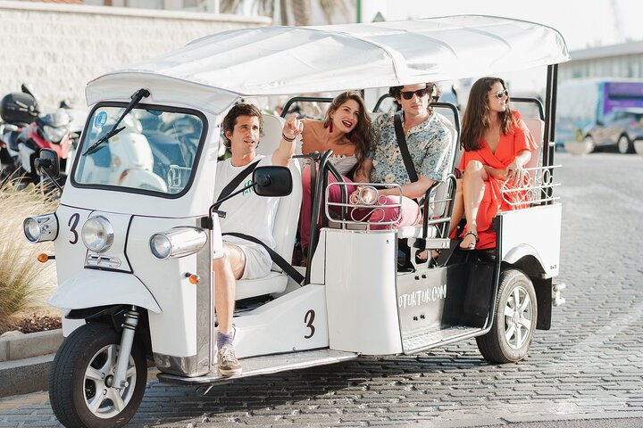 Privé Eco Tuk Tuk tour langs historische bezienswaardigheden en schilderachtige uitzichtpunten van Malaga met een lokale gids, foto 6 | wizardtrip