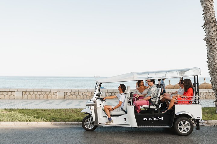Privé Eco Tuk Tuk tour langs historische bezienswaardigheden en schilderachtige uitzichtpunten van Malaga met een lokale gids, foto 8 | wizardtrip