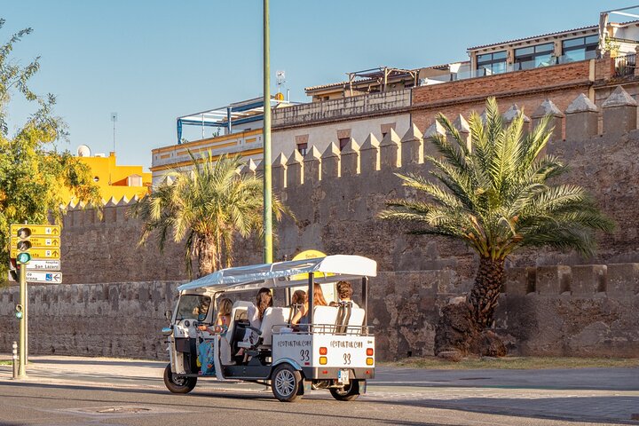 Private eco tuk tuk tour exploring Seville's historic landmarks and charming streets, photo 6 | wizardtrip