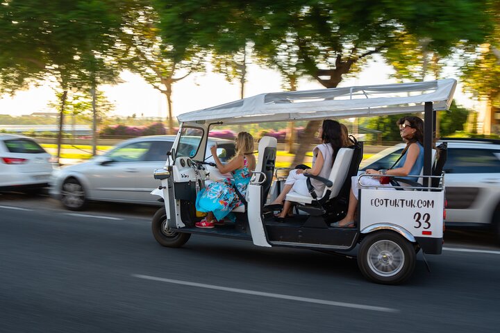 Private eco tuk tuk tour exploring Seville's historic landmarks and charming streets, photo 10 | wizardtrip