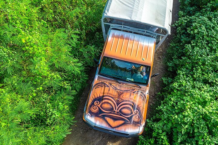 Experimente as deslumbrantes paisagens e cultura de Bora Bora num tour safari 4x4, com vistas panorâmicas e encontros locais, foto 9 | wizardtrip