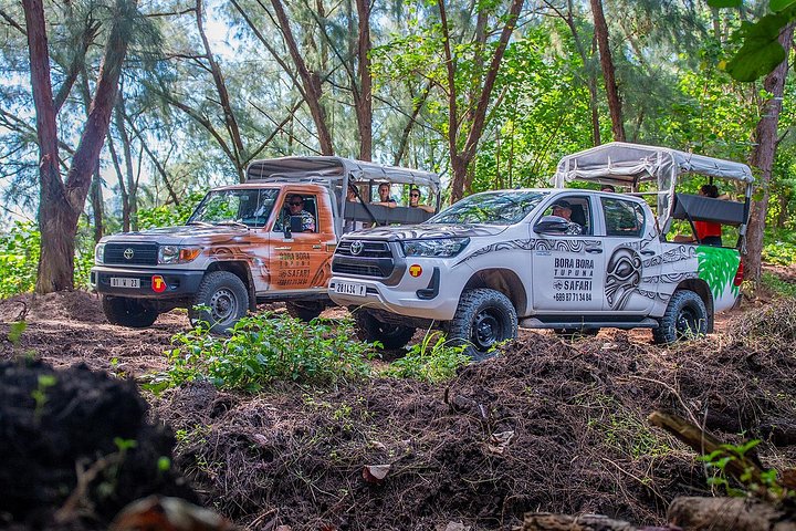 Experimente as deslumbrantes paisagens e cultura de Bora Bora num tour safari 4x4, com vistas panorâmicas e encontros locais, foto 10 | wizardtrip
