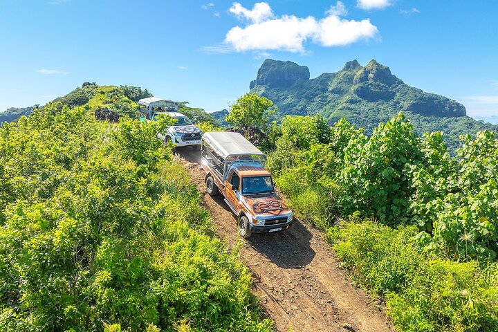 Experimente as deslumbrantes paisagens e cultura de Bora Bora num tour safari 4x4, com vistas panorâmicas e encontros locais, foto 16 | wizardtrip