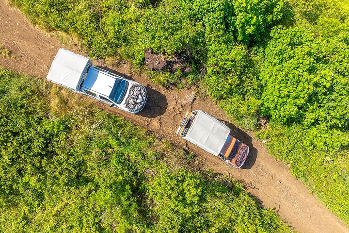 Experimente as deslumbrantes paisagens e cultura de Bora Bora num tour safari 4x4, com vistas panorâmicas e encontros locais, foto 17 | wizardtrip