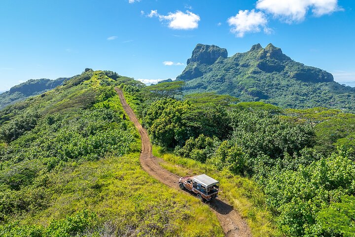 Experimente as deslumbrantes paisagens e cultura de Bora Bora num tour safari 4x4, com vistas panorâmicas e encontros locais, foto 23 | wizardtrip