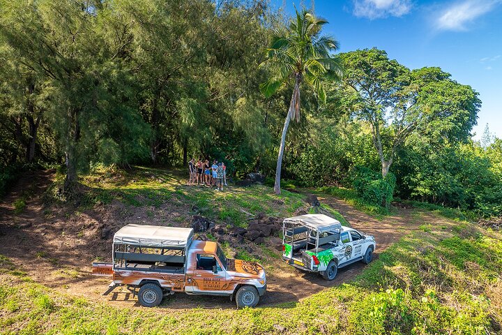 Experimente as deslumbrantes paisagens e cultura de Bora Bora num tour safari 4x4, com vistas panorâmicas e encontros locais, foto 24 | wizardtrip