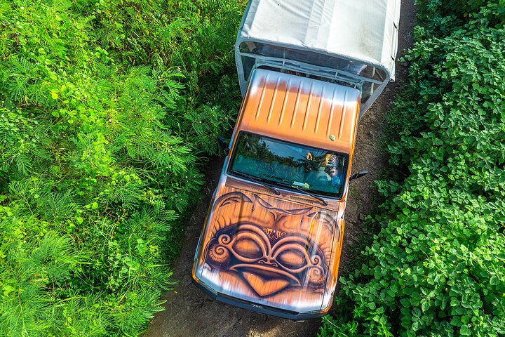 Experimente as deslumbrantes paisagens e cultura de Bora Bora num tour safari 4x4, com vistas panorâmicas e encontros locais, foto 25 | wizardtrip
