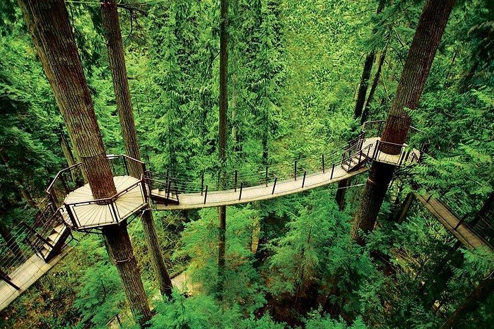 Vancouver: Hängebrücke Capilano & Grouse Mountain Tour | wizardtrip