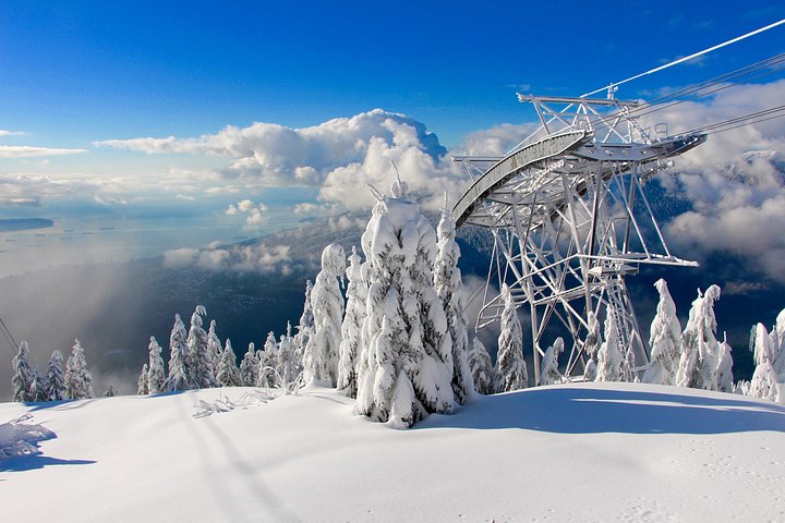 Tour em pequeno grupo para a Ponte Suspensa de Capilano e Grouse Mountain de Vancouver, foto 11 | wizardtrip