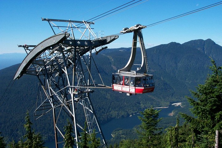 Tour em pequeno grupo para a Ponte Suspensa de Capilano e Grouse Mountain de Vancouver, foto 12 | wizardtrip