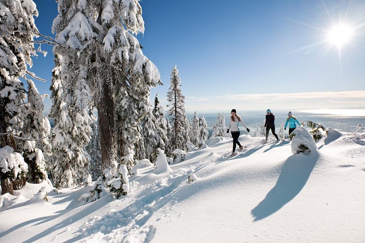 Tour em pequeno grupo para a Ponte Suspensa de Capilano e Grouse Mountain de Vancouver, foto 13 | wizardtrip