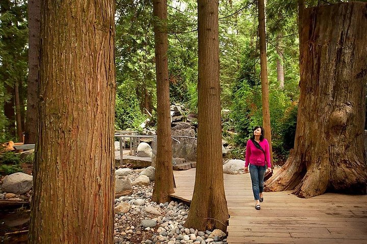 Tour em pequeno grupo para a Ponte Suspensa de Capilano e Grouse Mountain de Vancouver, foto 16 | wizardtrip