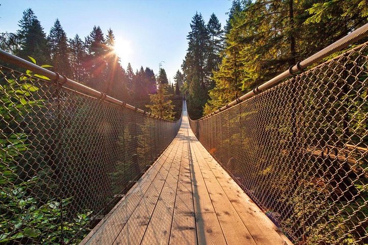 Tour em pequeno grupo para a Ponte Suspensa de Capilano e Grouse Mountain de Vancouver, foto 17 | wizardtrip