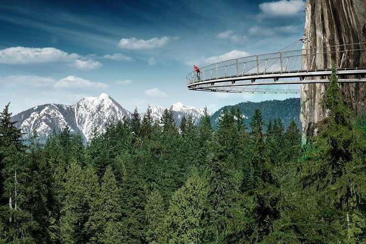 Tour em pequeno grupo para a Ponte Suspensa de Capilano e Grouse Mountain de Vancouver, foto 18 | wizardtrip