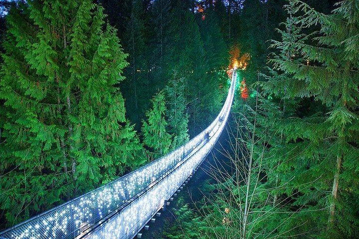 Tour em pequeno grupo para a Ponte Suspensa de Capilano e Grouse Mountain de Vancouver, foto 19 | wizardtrip