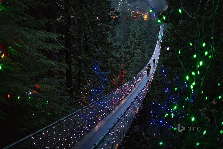 Tour em pequeno grupo para a Ponte Suspensa de Capilano e Grouse Mountain de Vancouver, foto 21 | wizardtrip