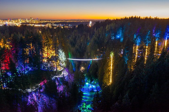 Tour em pequeno grupo para a Ponte Suspensa de Capilano e Grouse Mountain de Vancouver, foto 22 | wizardtrip