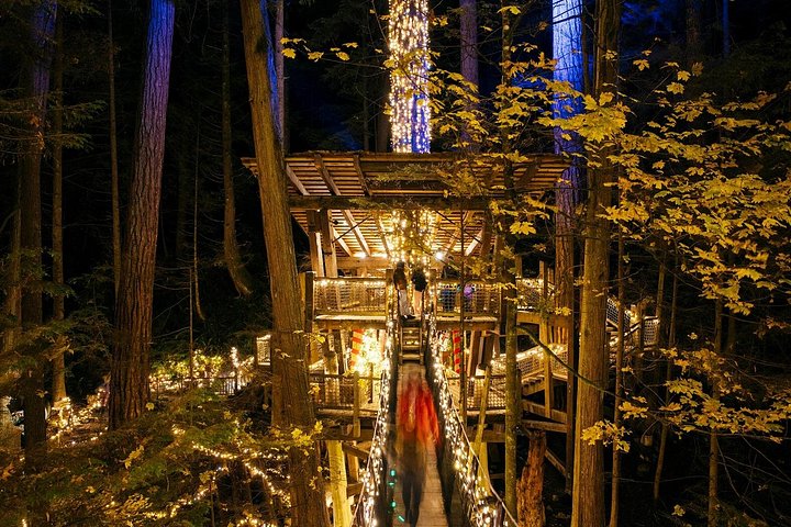 Tour em pequeno grupo para a Ponte Suspensa de Capilano e Grouse Mountain de Vancouver, foto 23 | wizardtrip
