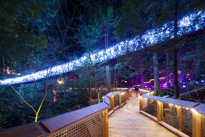 Tour em pequeno grupo para a Ponte Suspensa de Capilano e Grouse Mountain de Vancouver, foto 24 | wizardtrip
