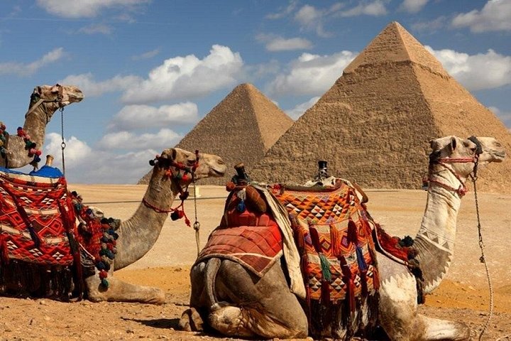 Visite privée d'une demi-journée des Pyramides de Gizeh et du Grand Sphinx avec un guide égyptologue au Caire, photo 11 | wizardtrip
