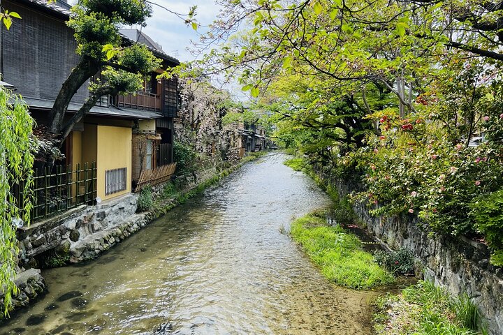 Passeio a pé pelo distrito de Gion em Kyoto com avistamentos de gueixas e maikos, foto 11 | wizardtrip