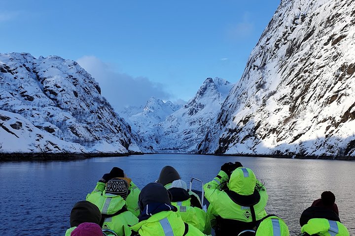 Premium RIB Boat naar Trollfjord & Zeearenden | wizardtrip