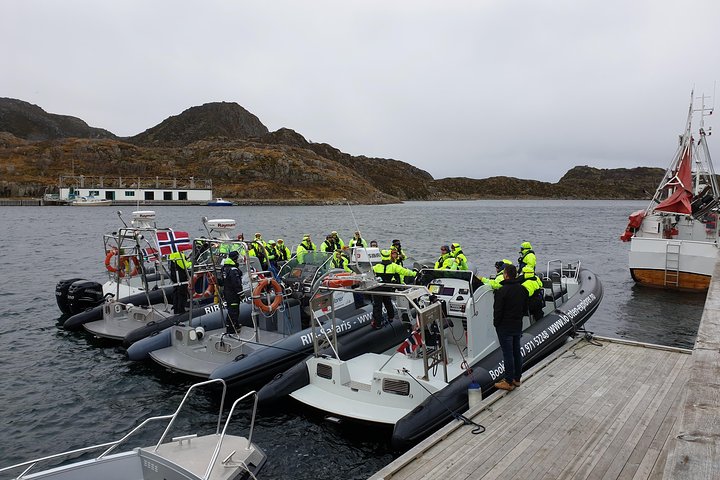 RIB-Boot-Tour zum Trollfjord und Seeadler in Svolvær, Norwegen, Foto 8 | wizardtrip
